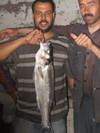 0054.jpg 0054.jpg