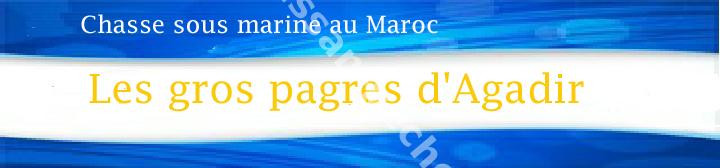 011aaaaaf444j45 copie.jpg