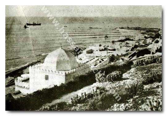 594.jpg